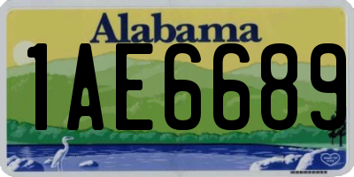 AL license plate 1AE6689