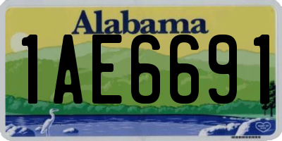 AL license plate 1AE6691