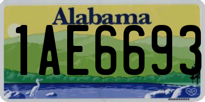 AL license plate 1AE6693