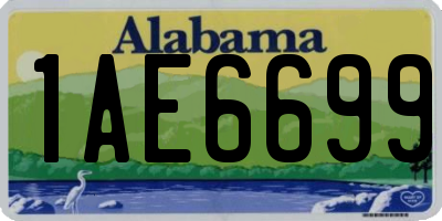 AL license plate 1AE6699