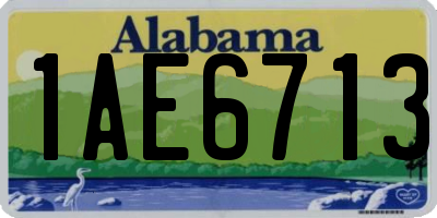 AL license plate 1AE6713