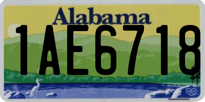 AL license plate 1AE6718