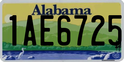 AL license plate 1AE6725