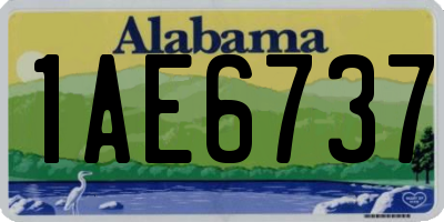 AL license plate 1AE6737