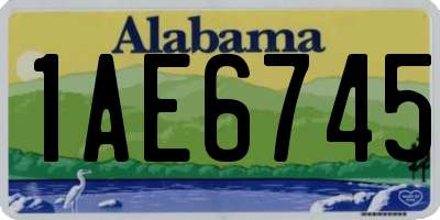 AL license plate 1AE6745