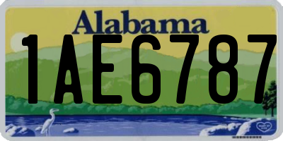 AL license plate 1AE6787