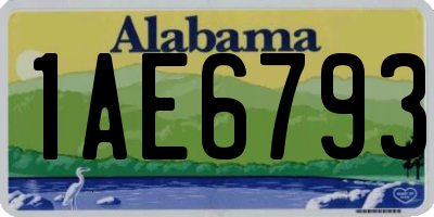 AL license plate 1AE6793