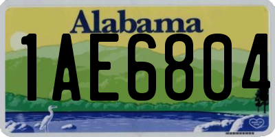 AL license plate 1AE6804