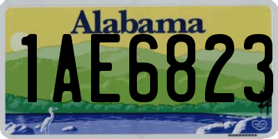AL license plate 1AE6823