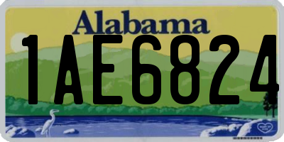 AL license plate 1AE6824