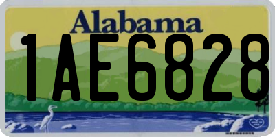 AL license plate 1AE6828