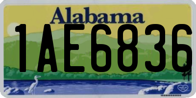 AL license plate 1AE6836
