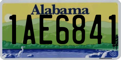 AL license plate 1AE6841