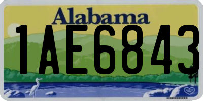 AL license plate 1AE6843