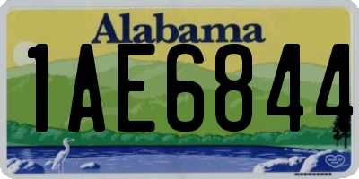 AL license plate 1AE6844