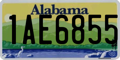 AL license plate 1AE6855
