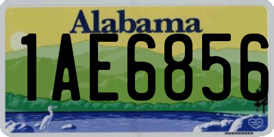 AL license plate 1AE6856