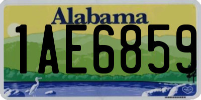 AL license plate 1AE6859