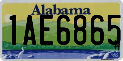 AL license plate 1AE6865