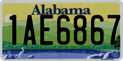 AL license plate 1AE6867
