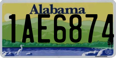 AL license plate 1AE6874