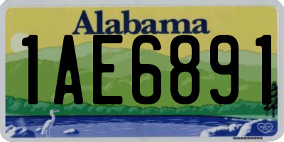 AL license plate 1AE6891