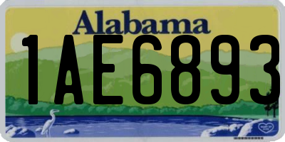AL license plate 1AE6893