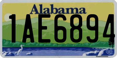 AL license plate 1AE6894