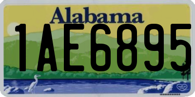 AL license plate 1AE6895