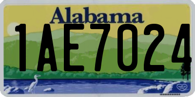 AL license plate 1AE7024