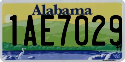 AL license plate 1AE7029