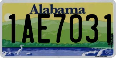 AL license plate 1AE7031