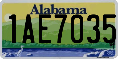 AL license plate 1AE7035