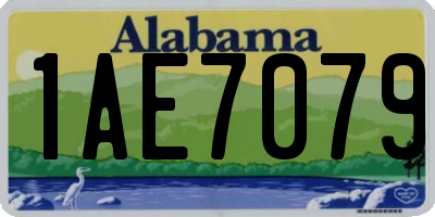 AL license plate 1AE7079