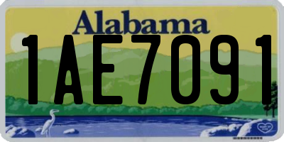 AL license plate 1AE7091