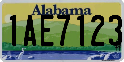 AL license plate 1AE7123