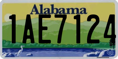 AL license plate 1AE7124