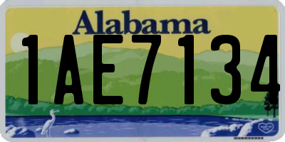 AL license plate 1AE7134
