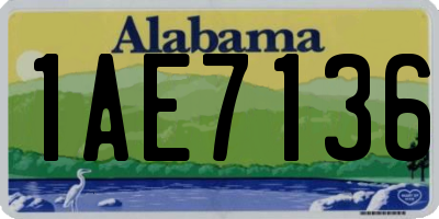 AL license plate 1AE7136