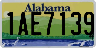 AL license plate 1AE7139