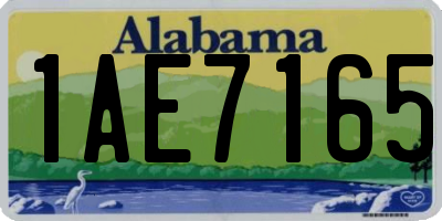 AL license plate 1AE7165
