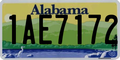 AL license plate 1AE7172