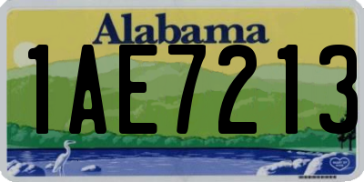 AL license plate 1AE7213