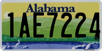 AL license plate 1AE7224