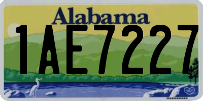 AL license plate 1AE7227