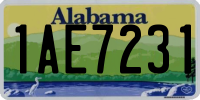 AL license plate 1AE7231