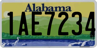 AL license plate 1AE7234