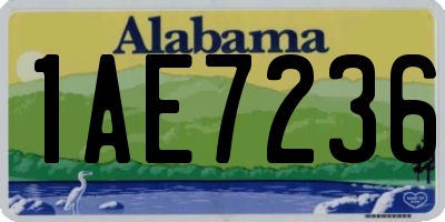 AL license plate 1AE7236