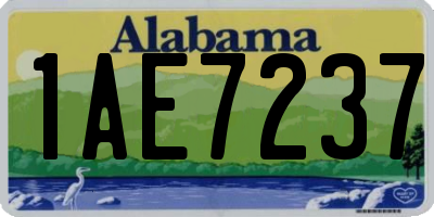 AL license plate 1AE7237