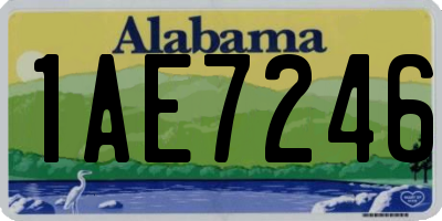 AL license plate 1AE7246